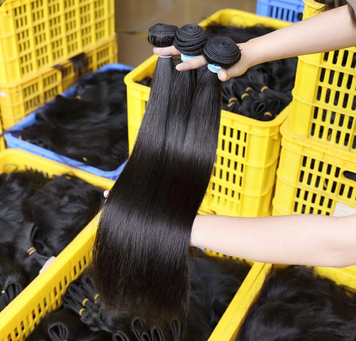 Brazilian Straight
